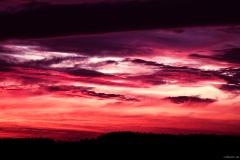 IMG_3454e