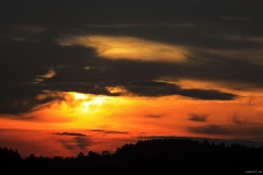 IMG_3470e