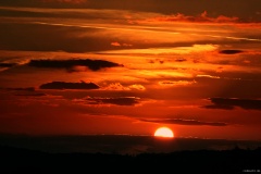 IMG_3526e