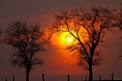 IMG_3863e