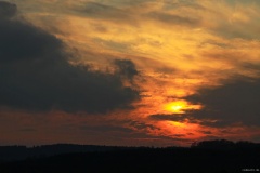 IMG_4719e