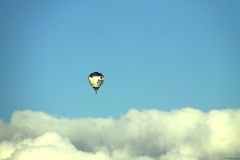 IMG_6361e