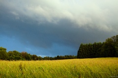 IMG_6833e