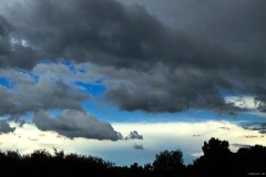 IMG_6875e