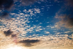 IMG_6960e2