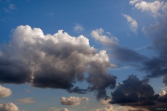 IMG_7463e