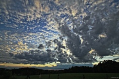 IMG_7465e2