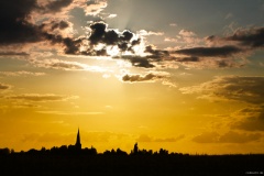 IMG_7646e