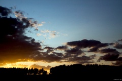 IMG_7721e