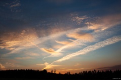IMG_8859e