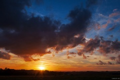 IMG_9350e