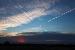 IMG_9366e