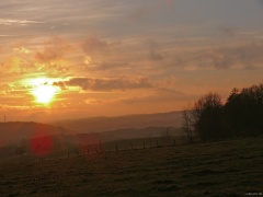 P1000550e
