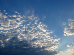 P1070615e