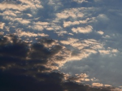 P1070633e