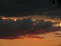 P1110045e
