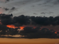 P1110060e