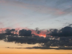 P1110090e