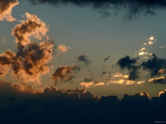 P1110304e