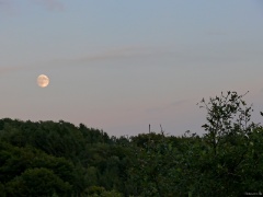 P1130132e