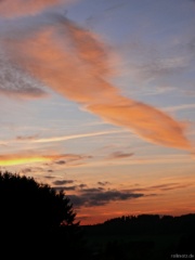 P1140194e
