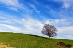 Landschaft