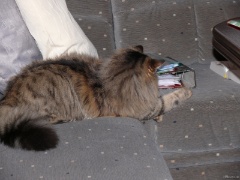 P1000576