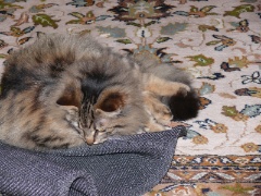 P1000612