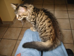 4. Monat
