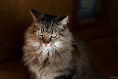 IMG_5717e2